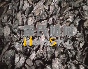 蒸女貞子、黃精體驗(yàn)